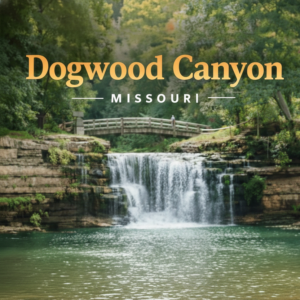 Dogwood Canyon Rental, Standard Ebike